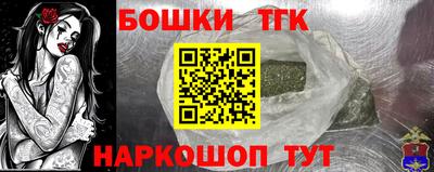 МДПВ Новодвинск