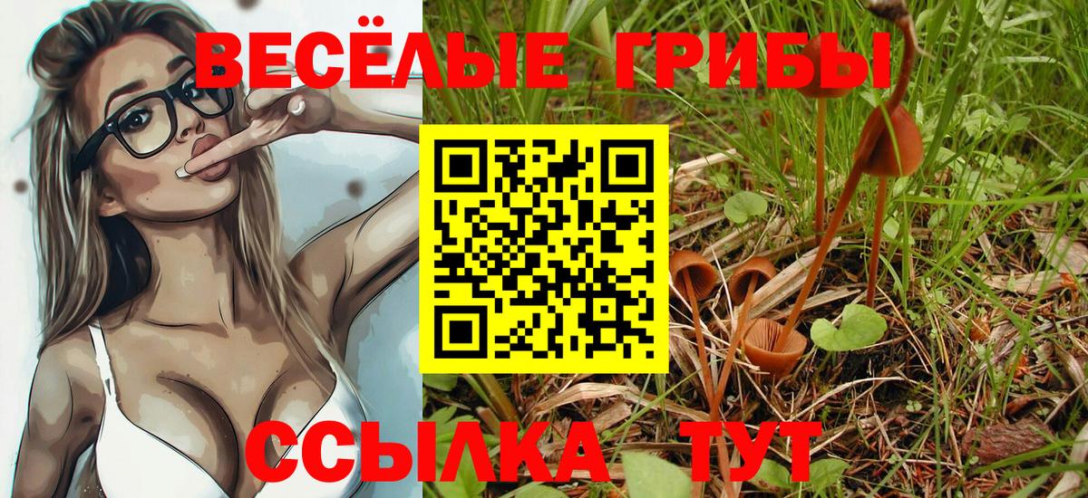 Алексеевка  Галлюциногенные грибы Psilocybe  Вход с VPN 